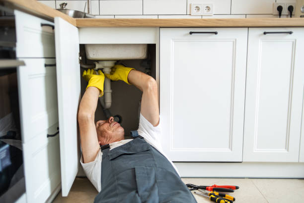 Best Commercial Plumbing Services  in , MN